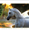 Aldebaran Arabians Featured in Emigrant Cover