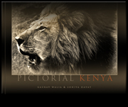 Pictorial Kenya - Gaurav Walia